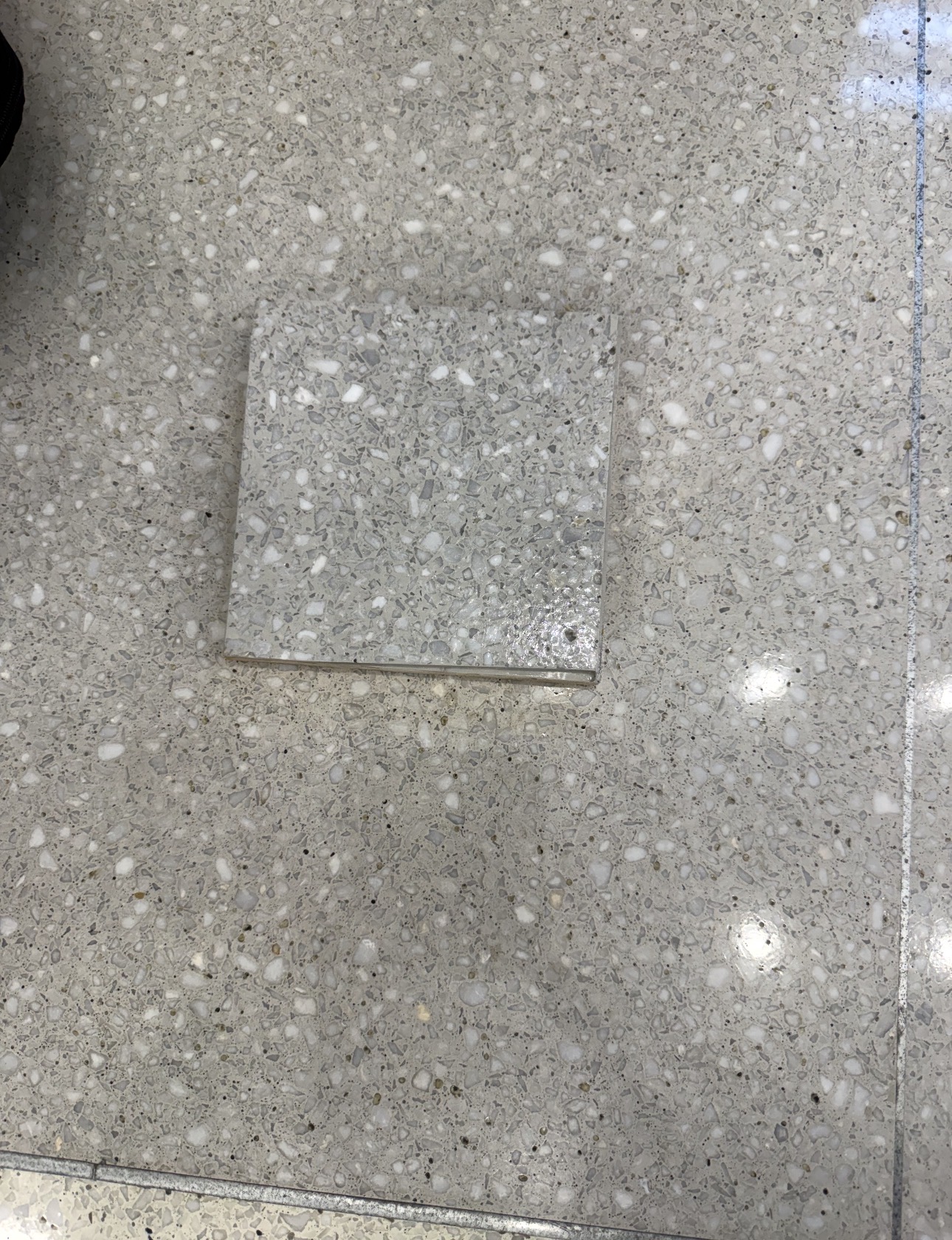 Terrazzo restoration sample matched against an existing light gray floor