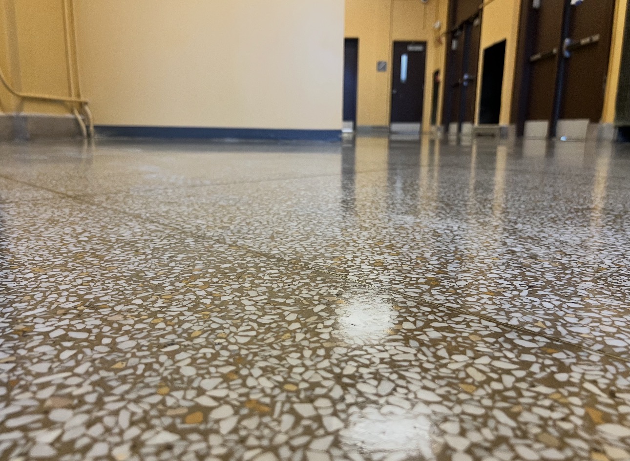 Refinished terrazzo hallway floor showing exposed aggregate and reflective finish